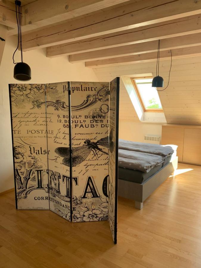 Dovolena Bez Starosti - Apartmany U Venuse Pavlov Εξωτερικό φωτογραφία