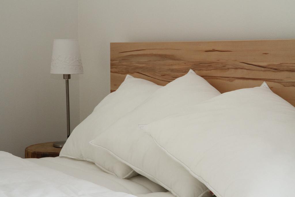 Dovolena Bez Starosti - Apartmany U Venuse Pavlov Εξωτερικό φωτογραφία